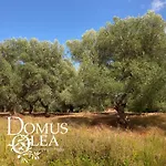 Domus Olea Glamping Tente de luxe *