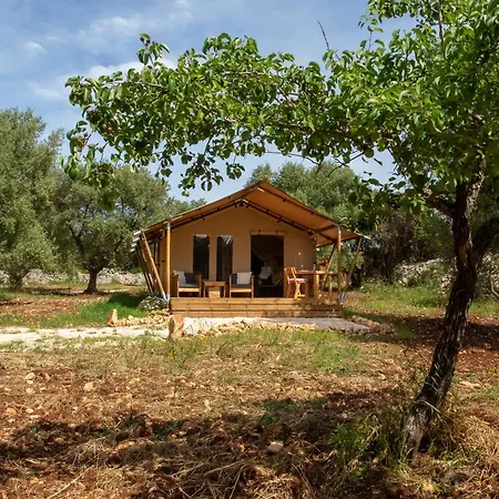 Luxury tent Domus Olea Glamping