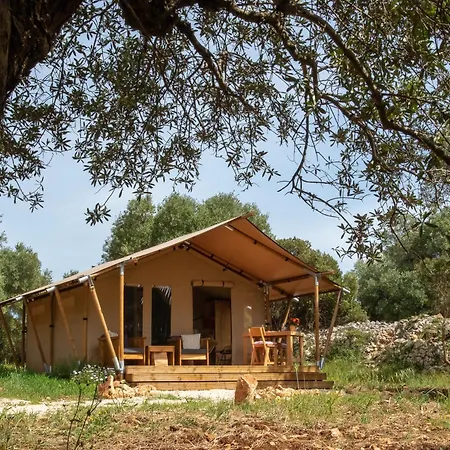Domus Olea Glamping Luxury tent