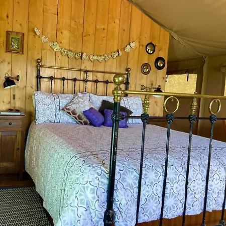 Domus Olea Glamping Luxury tent