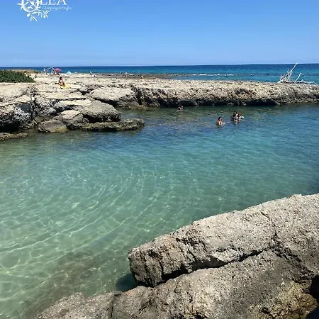Glamping Domus Olea Glamping
