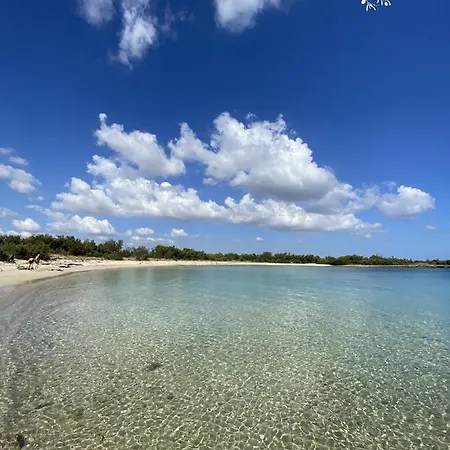 Domus Olea Glamping Οργανωμένο κάμπινγκ *