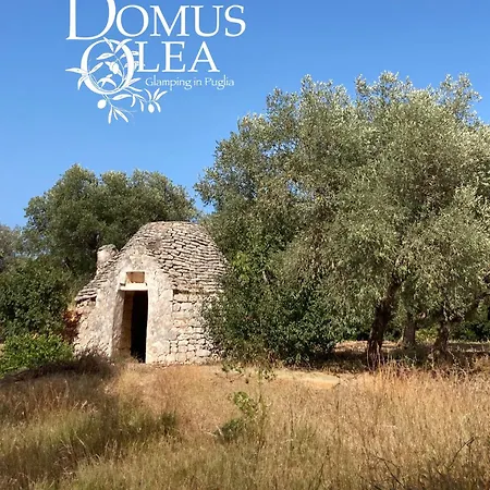Domus Olea Glamping Luxury tent