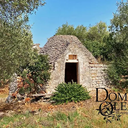 Domus Olea Glamping ラグジュアリーテント *