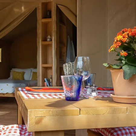 Domus Olea Glamping ラグジュアリーテント *