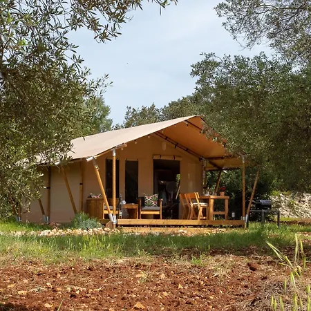 Domus Olea Glamping チェーリエ・メッサーピカ