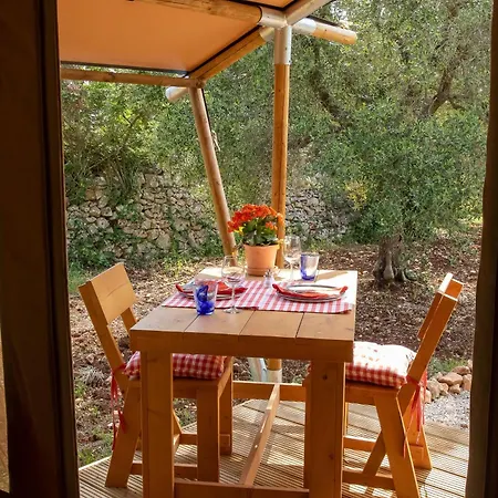 Domus Olea Glamping Campo de lujo