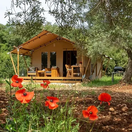 Domus Olea Glamping * チェーリエ・メッサーピカ