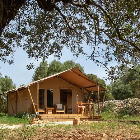 Domus Olea Glamping Luxury tent