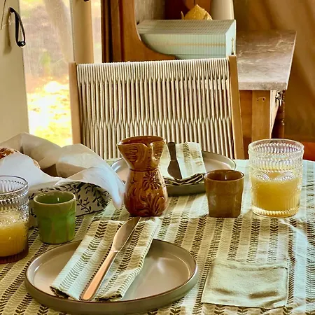 Domus Olea Glamping *