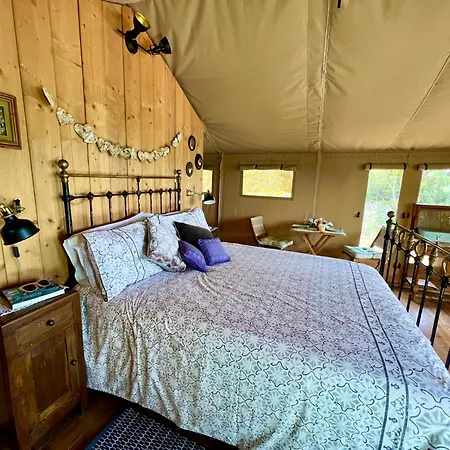 Domus Olea Glamping * チェーリエ・メッサーピカ