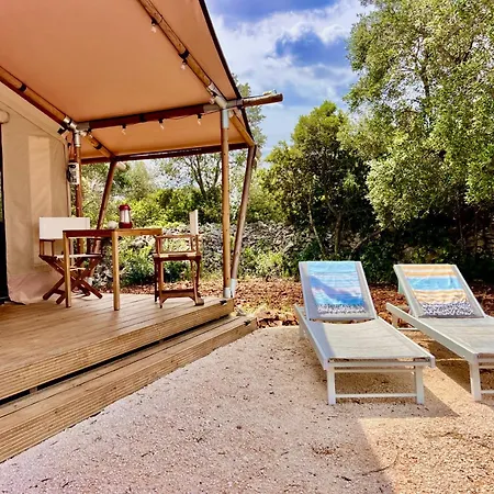 Domus Olea Glamping *