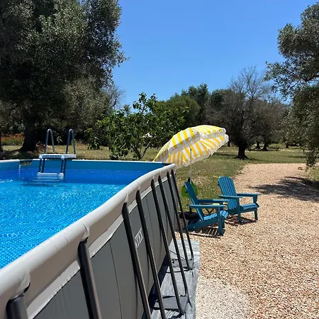 Campo de lujo Domus Olea Glamping