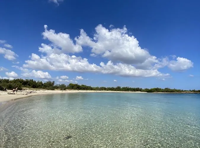 Domus Olea Glamping Οργανωμένο κάμπινγκ *