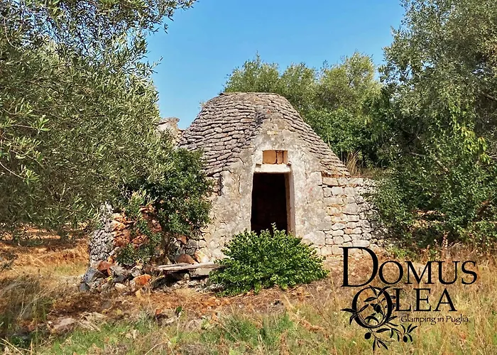Domus Olea Glamping Luxussátor *