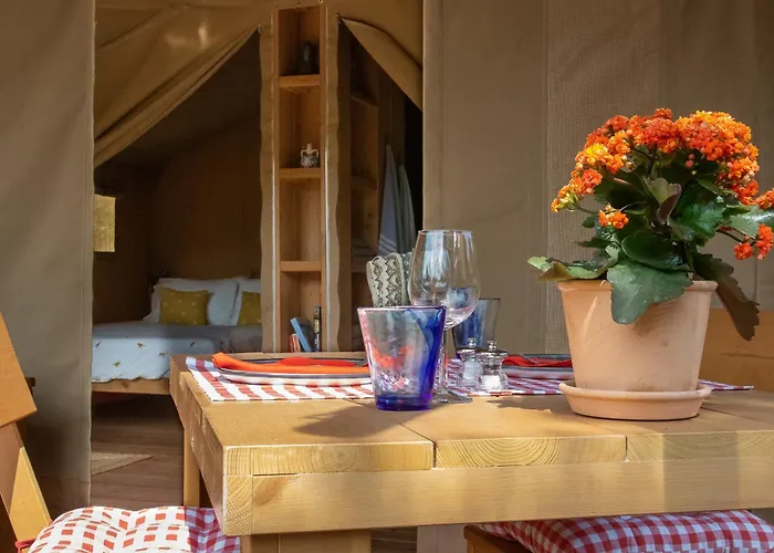 Domus Olea Glamping Οργανωμένο κάμπινγκ *