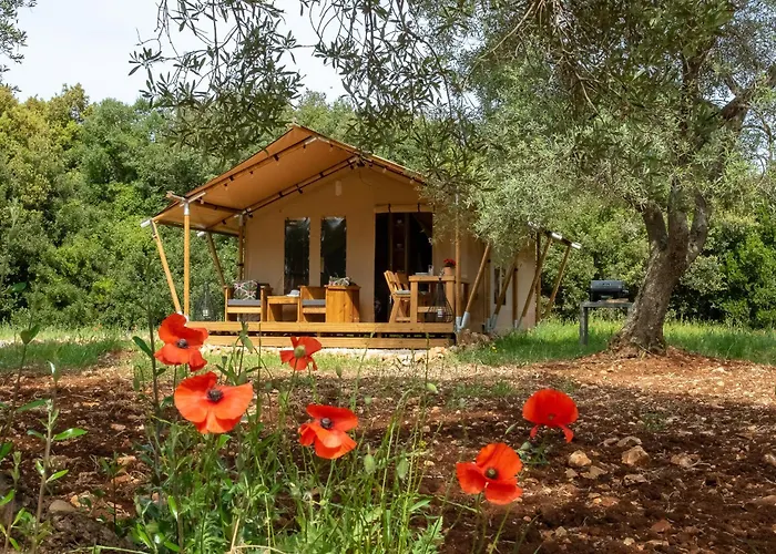 Domus Olea Glamping * Ceglie Messapica